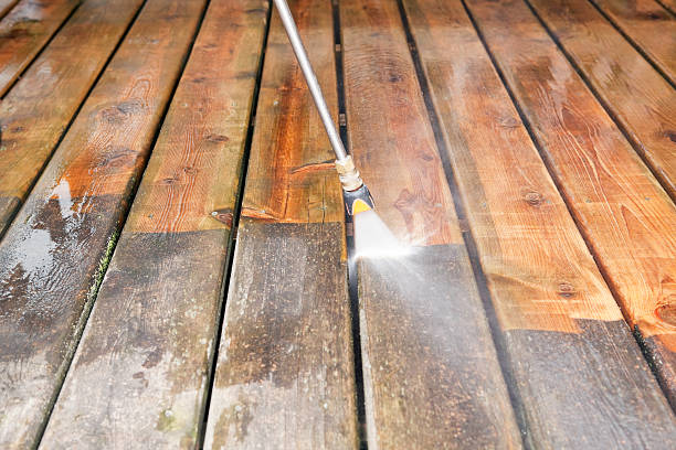 Best Fence Cleaning  in Meraux, LA
